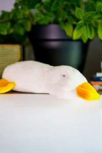 Poduszka "Śpioszek Kaczorek"